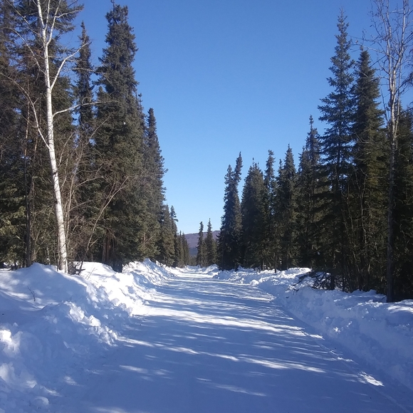 Meet your Posher, Teresa - Picture 3 of 8